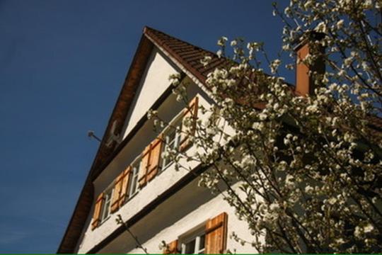 Апартаменты Haus Oyben Бад-Хинделанг Экстерьер фото